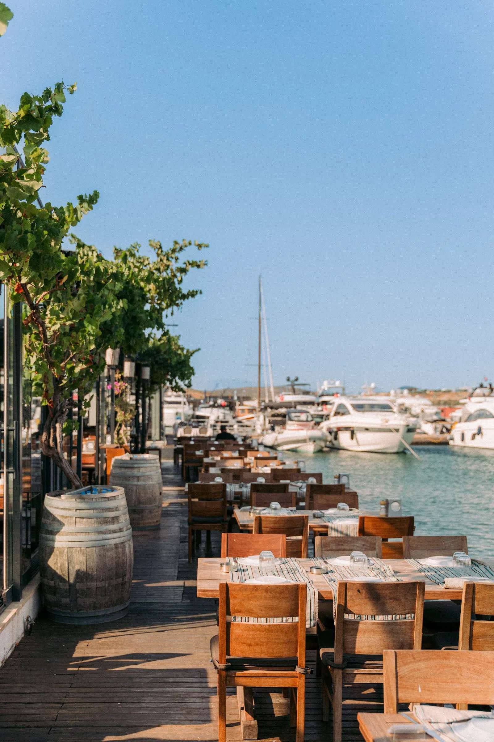 Ferdi Baba – Port Alaçatı, Izmir