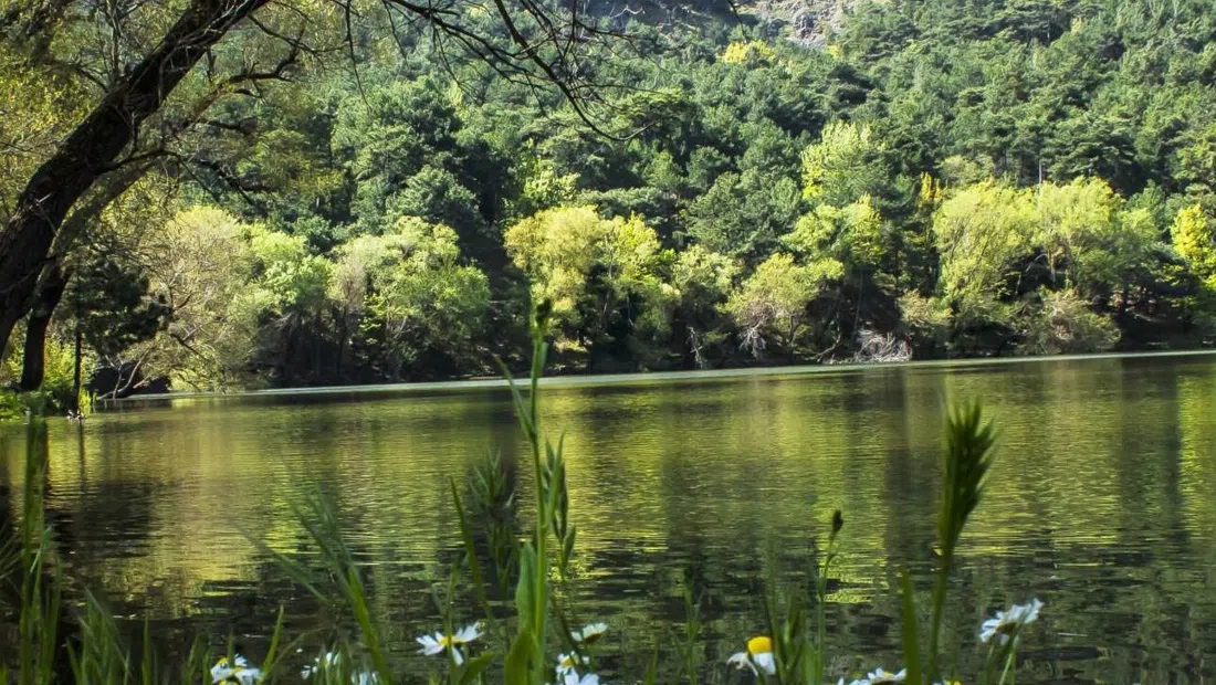 Karagöl Tabiat Parkı, Izmir
