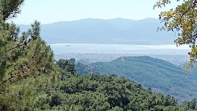Karşıyaka
