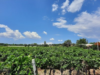 Urla Wine Route